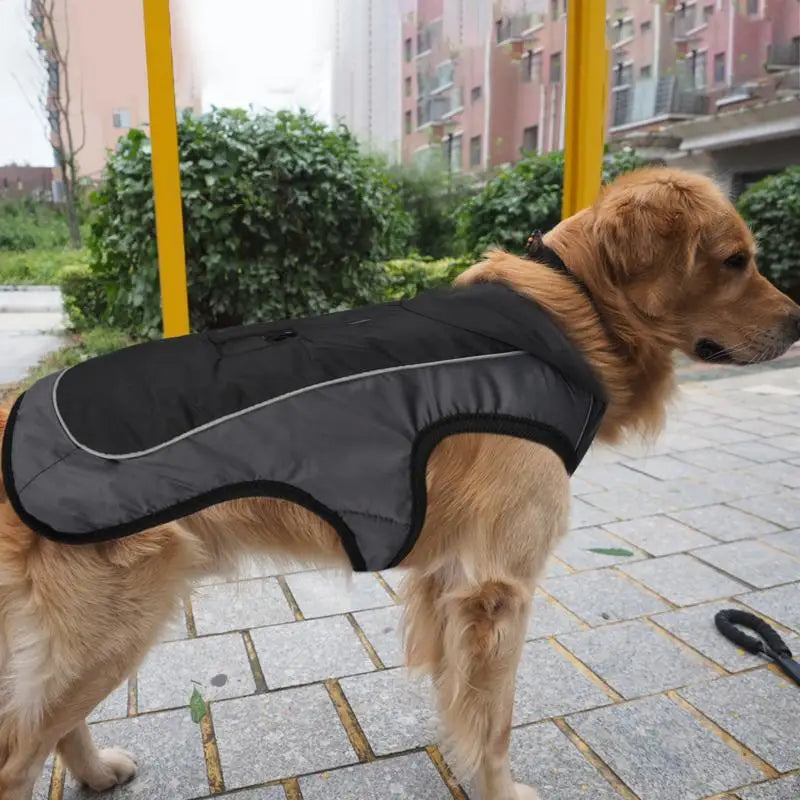 Reflective Warm Dog Jacket for Large Dogs